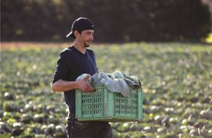 Λήγει εντός Φλεβάρη η προθεσμία ανανέωσης εγγραφής στο ΜΕΝΟ