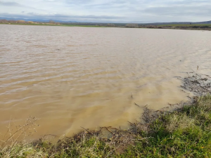 Κάτω από το νερό χιλιάδες στρέμματα με δημητριακά στον κάμπο Πολύκαστρου