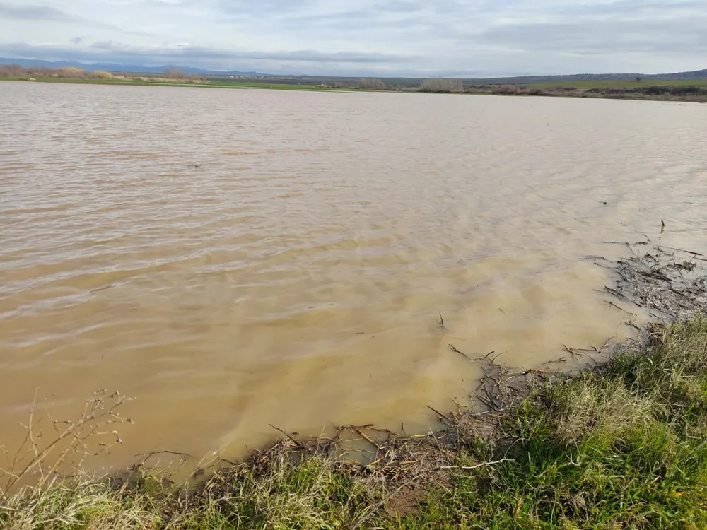 Κάτω από το νερό χιλιάδες στρέμματα με δημητριακά στον κάμπο Πολύκαστρου