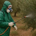 Τα εγκεκριμένα εντομοκτόνα και μυκητοκτόνα για την καλλιέργεια της ελιάς το 2026