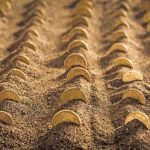 Το χρονοδιάγραμμα καταβολής αποζημιώσεων σε τρεις φάσεις και οι πληρωμές των ενισχύσεων