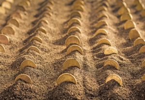 Το χρονοδιάγραμμα καταβολής αποζημιώσεων σε τρεις φάσεις και οι πληρωμές των ενισχύσεων