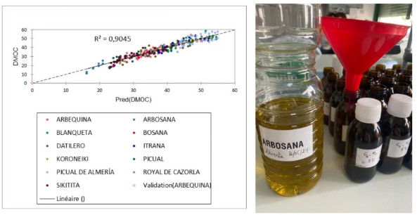 Καινοτόμα μοντέλα πρόβλεψης για την συγκομιδή και την συντήρηση του ελαιολάδου