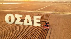 Απόψε η ανακοίνωση παράτασης για monitoring και ΟΣΔΕ 2025