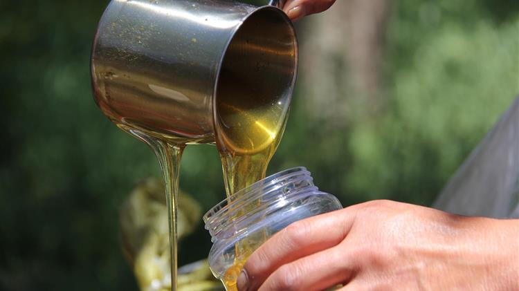 Μέλι: Γιατί η Κύπρος βλέπει «τρύπα» έως 30% και γιατί η ίδια κρίση χτυπά ήδη την Ελλάδα