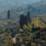 Εθνική ελαϊκή πολιτική της Ιταλίας για υπεράσπιση της ελαιοκαλλιέργειάς της