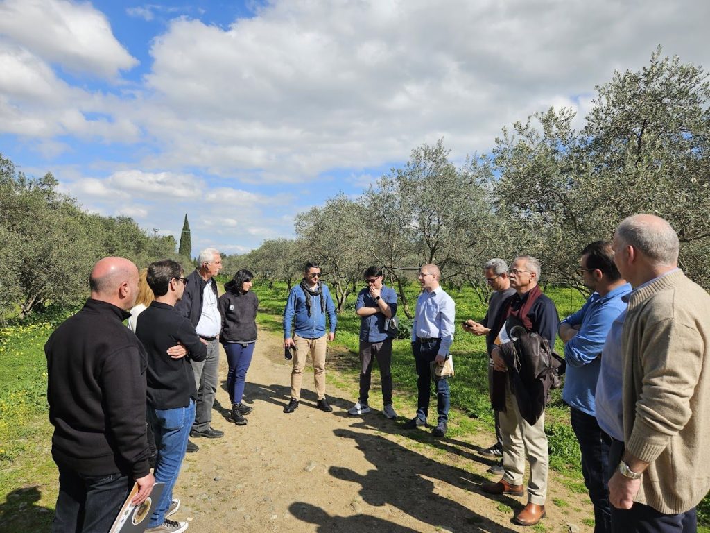 Έξυπνες ηλεκτρονικές δακοπαγίδες ετοιμάζει το έργο βιώσιμης ελαιοκαλλιέργειας OliveTech