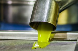 Ελαίας Καρπός