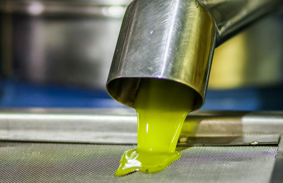 Ελαίας Καρπός