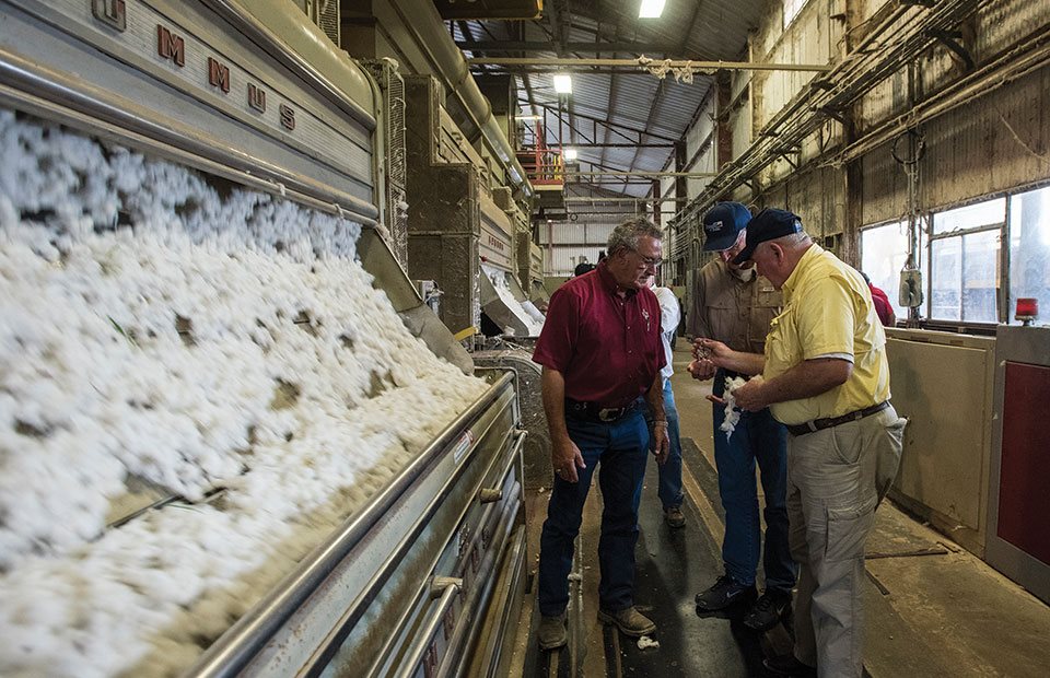 Ανταγωνιστικό προβάδισμα για το ελληνικό βαμβάκι στην Ιταλία