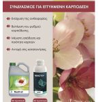 Ρύθμιση ιδιοκτησιακού παρακάρλιων για να μην κινδυνεύουν επιδοτήσεις