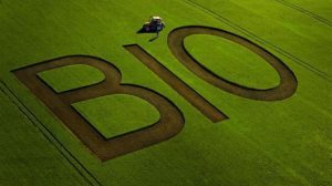 Συγκροτήθηκε σε σώμα το νέο Διοικητικό Συμβούλιο της Ένωσης Βιοκαλλιεργητών Αργολίδας