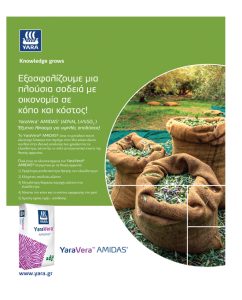 Αίτημα για ενίσχυση στο ρύζι από την περιφέρεια Κεντρικής Μακεδονίας