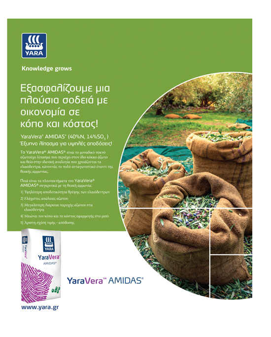 Αίτημα για ενίσχυση στο ρύζι από την περιφέρεια Κεντρικής Μακεδονίας