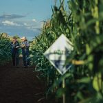 Πιστοποιημένη μείωση αποτυπώματος άνθρακα με τις λύσεις EuroChem