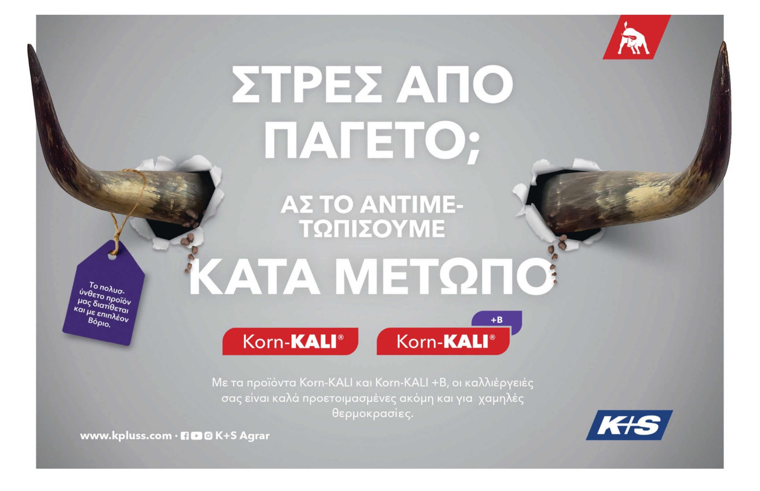 Αναστολή ασφαλιστικών υποχρεώσεων πληγέντων ευλογιάς έως τέλος 2026