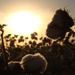 Ινδία: Ελπίδες στις εξαγωγές κλωστοϋφαντουργίας από συμφωνία με την ΕΕ