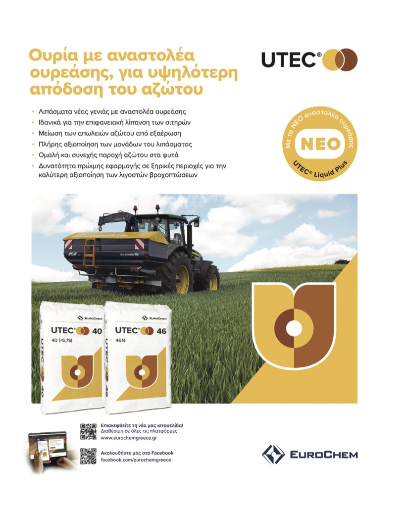 Άμεσα ισολογισμοί 2024 για  ενημερότητα συνεταιρισμών,  προθεσμία μέχρι τέλος μήνα