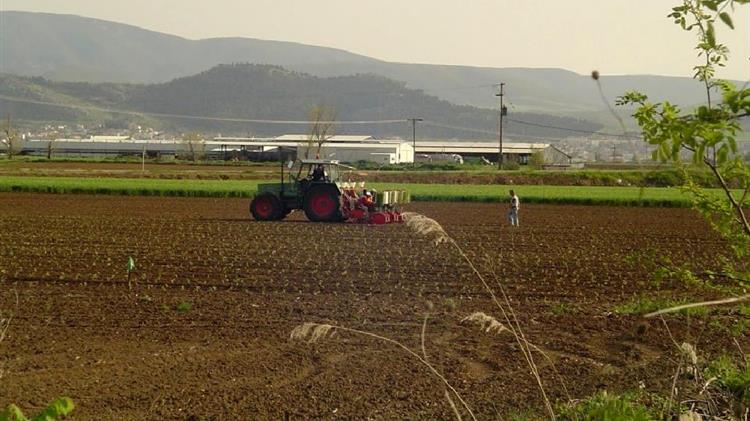 Β. Κόκκαλης: Παρέμβαση στον Υπουργό για τα τεχνικά σφάλματα στο AGRISNAP-GR και τις ασφυκτικές προθεσμίες
