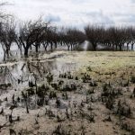 Αίτημα Περιφέρειας Θεσσαλίας για καταβολή ενισχύσεων 2025 σε καλλιεργητές παρακάρλιων περιοχών