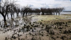 Αίτημα Περιφέρειας Θεσσαλίας για καταβολή ενισχύσεων 2025 σε καλλιεργητές παρακάρλιων περιοχών