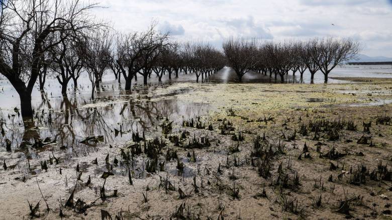 Αίτημα Περιφέρειας Θεσσαλίας για καταβολή ενισχύσεων 2025 σε καλλιεργητές παρακάρλιων περιοχών