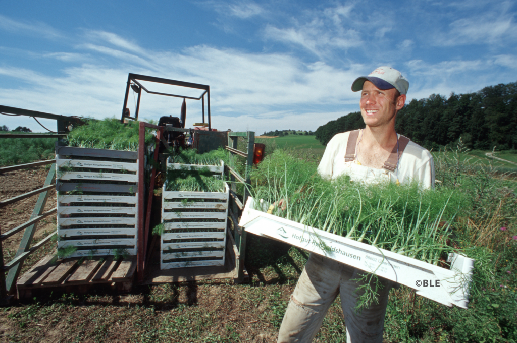 Έως 26 Απριλίου αιτήσεις για τα βραβεία βιολογικής γεωργίας της ΕΕ