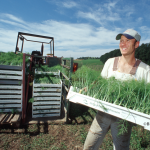 Έως 26 Απριλίου αιτήσεις για τα βραβεία βιολογικής γεωργίας της ΕΕ