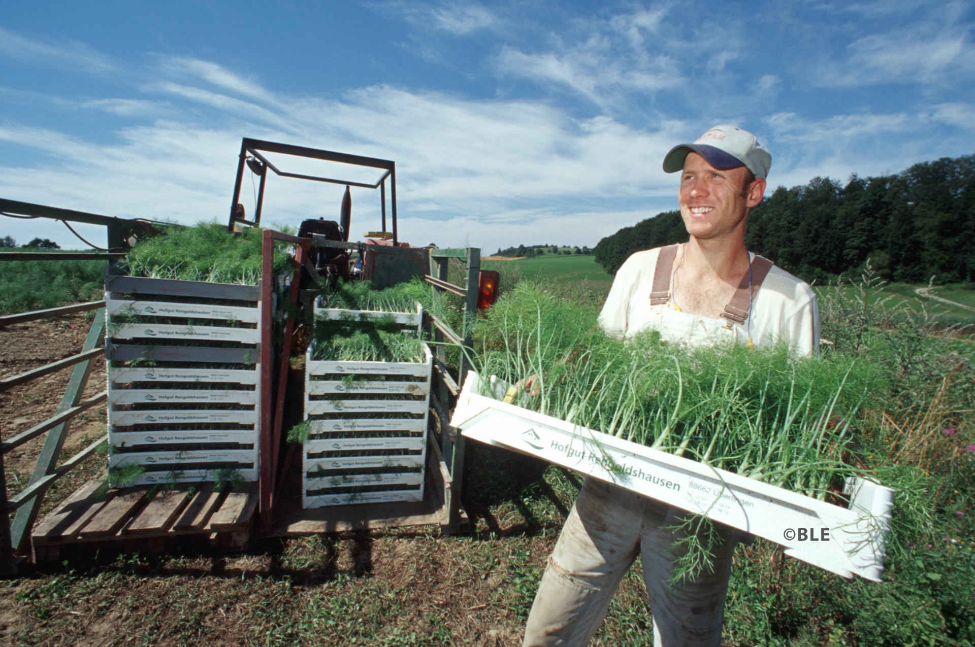 Έως 26 Απριλίου αιτήσεις για τα βραβεία βιολογικής γεωργίας της ΕΕ