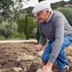 Βαρύ πρόστιμο για αδήλωτη εργασία σε χαμηλοσυνταξιούχους αγρότες