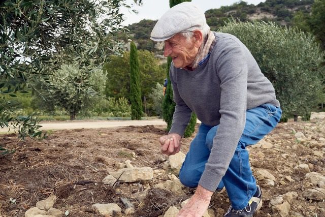 Βαρύ πρόστιμο για αδήλωτη εργασία σε χαμηλοσυνταξιούχους αγρότες