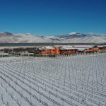 Το Κτήμα Άλφα εντάσσεται στην κορυφαία παγκόσμια επιστημονική κοινότητα για την αμπελουργία και οινολογία IVES