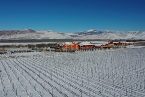 Το Κτήμα Άλφα εντάσσεται στην κορυφαία παγκόσμια επιστημονική κοινότητα για την αμπελουργία και οινολογία IVES