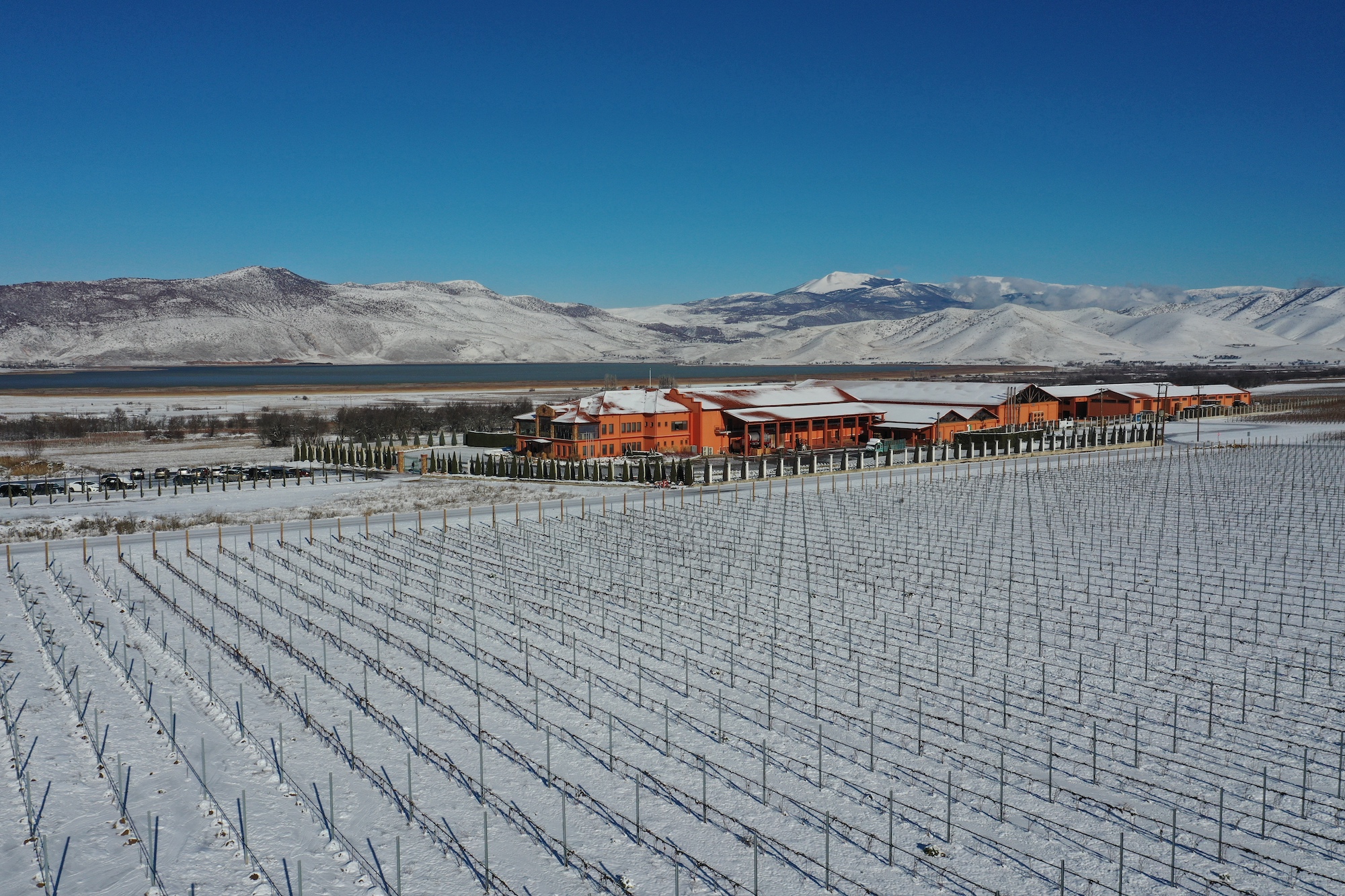 Το Κτήμα Άλφα εντάσσεται στην κορυφαία παγκόσμια επιστημονική κοινότητα για την αμπελουργία και οινολογία IVES