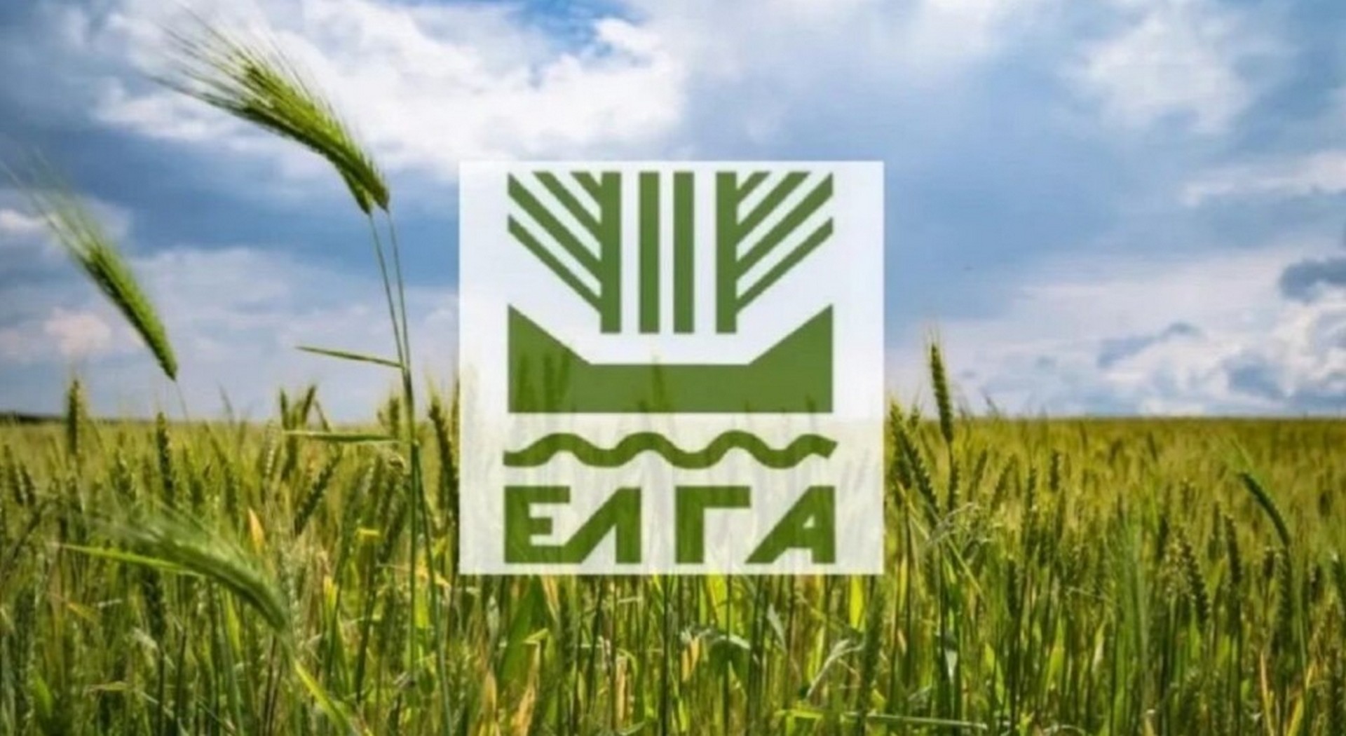 Οι αγρότες περιμένουν αποζημιώσεις από ΕΛΓΑ - Στα 15-20εκατ.€ το συνολικό ποσό • Έλληνας Αγρότης