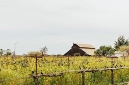 Αγροτικά Προϊόντα: Τα κρασιά της Καλιφόρνια αντιτίθενται στις εισαγωγές χύμα κρασιού, με νόμο που προβλέπει 100% προέλευσης ΗΠΑ για τα "Αμερικανικά Κρασιά"