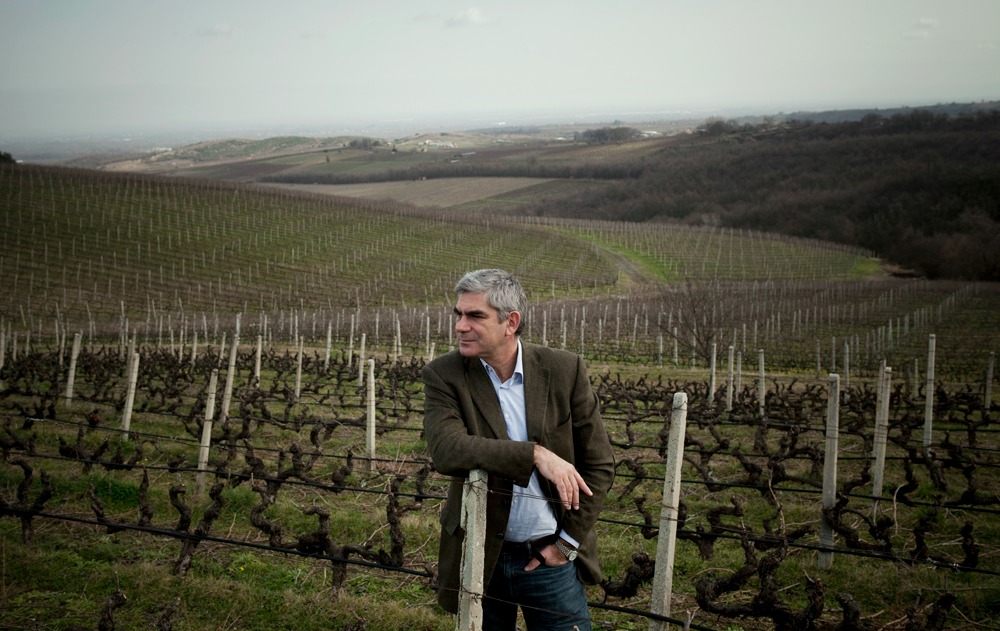 O ΣΕΟ διασώζει την ιστορία του σύγχρονου ελληνικού κρασιού