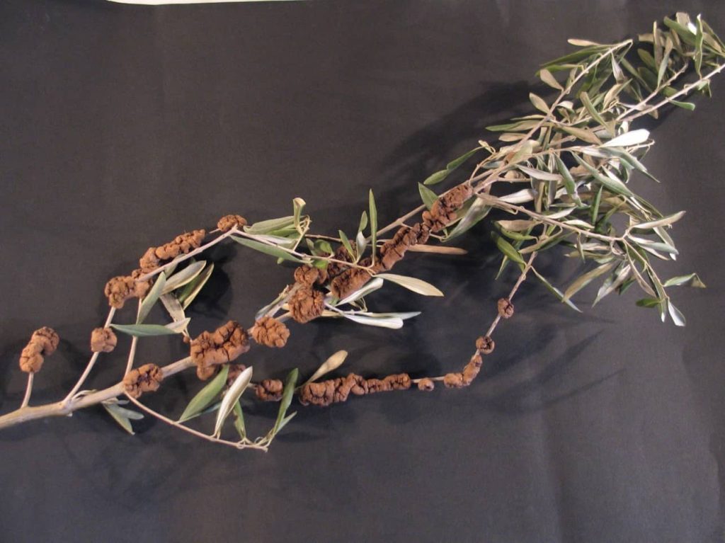 Το ιατρικό δελτίο έχει...καρκίνωση, σκολύτες και καπνιά