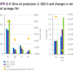 Η Ισπανία στοχεύει τους 1,8 εκ. τόνους ελαιολάδου, μείωση 0,2% ετησίως οι επιτραπέζιες ελιές
