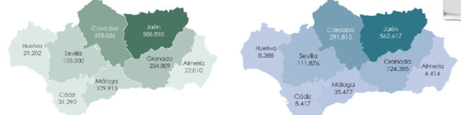 Εξέλιξεις της ελαιοπαραγωγής στην Ανδαλουσία