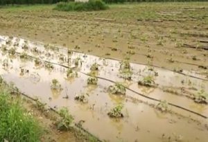 Συναγερμός στον Έβρο από τη θραύση αναχώματος στην Κορνοφωλιά