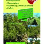 Πέντε προτάσεις αιχμής στη φύτευση νέων ελαιόδεντρων για όλες τις ανάγκες - Ελαίας Καρπός