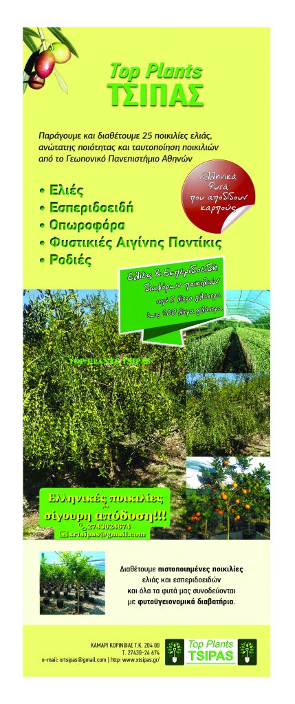 Πέντε προτάσεις αιχμής στη φύτευση νέων ελαιόδεντρων για όλες τις ανάγκες - Ελαίας Καρπός