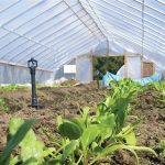 Προεξόφληση ενίσχυσης μέτρου θερμοκηπίων από την Τράπεζα Πειραιώς