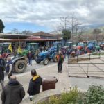 Ποια δενδρώδη αποζημιώνονται μέσω ad hoc - Συλλαλητήριο στην Αγιά για τα μήλα (ΦΩΤΟ) • Έλληνας Αγρότης