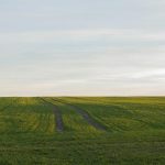 ΑΑΔΕ: Παράταση προθεσμιών για διορθώσεις ΕΑΕ και υποβολή φωτογραφιών στο AgriSnap