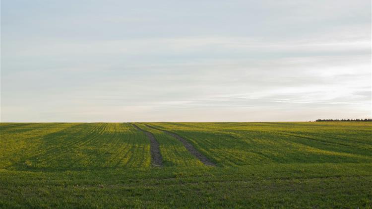 ΑΑΔΕ: Παράταση προθεσμιών για διορθώσεις ΕΑΕ και υποβολή φωτογραφιών στο AgriSnap