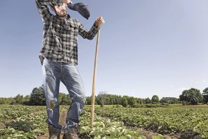 Η θολή εικόνα της υπαίθρου • Έλληνας Αγρότης