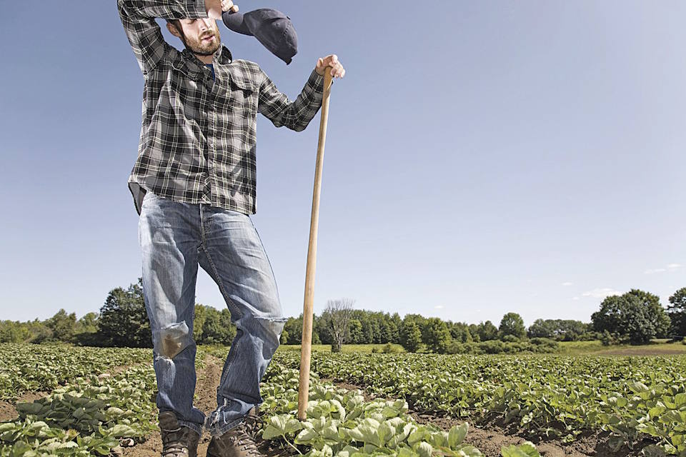 Η θολή εικόνα της υπαίθρου • Έλληνας Αγρότης