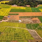 Οι μεταναστευτικοί μελισσοκόμοι της Ινδίας και οι κυψέλες τους ακολουθούν τα λουλούδια για να φέρουν το μέλι